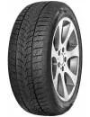 Зимняя шина Minerva Frostrack UHP 205/55R16 91H icon