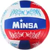Волейбольный мяч Minsa 1276999 (размер 5) icon