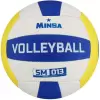 Волейбольный мяч Minsa SM 013 7306809 (размер 5) icon