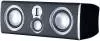 Центральный громкоговоритель Monitor Audio Platinum PLC350 фото