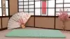 Матрас Mr. Mattress Hoshi 120x200 icon 5