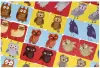 Настольная игра Muravey Games Мемори Совушки ТК007 icon 4