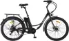 Электровелосипед MyWay Road 1.0 350 Max 26 (17, черный антрацит) icon