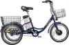 Электровелосипед MyWay Trike 350 Pro 24 (15, синий) icon