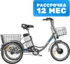 Электровелосипед MyWay Trike 500 20 (17, графитовый матовый) icon