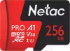 Карта памяти Netac P500 Extreme Pro 256GB NT02P500PRO-256G-S icon