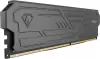 Оперативная память Netac Shadow III 2x16ГБ DDR5 6400 МГц NTSHD5P64DP-32K фото 3