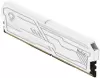 Оперативная память Netac Shadow III 2x8ГБ DDR4 2666 МГц NTSHD4P26DP-16W фото 3