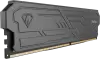 Оперативная память Netac Shadow III 8ГБ DDR4 2666 МГц NTSHD4P26SP-08K фото 2