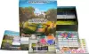 Настольная игра New Making Studio Кибердеревня (New Making Studio) фото 4