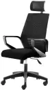Офисное кресло Norden Эрго A909-FX363-1 (черный) icon