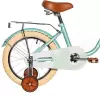 Детский велосипед Novatrack Maple 16 2025 164MAPLE.TQ5 (светло-бирюзовый) icon 3
