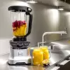 Блендер Novis Pro 650L (серебристый) icon 2