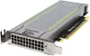 Видеокарта NVIDIA Tesla T4 16GB GDDR6 900-2G183-6300-T00 фото 4