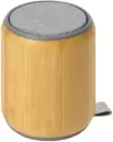 Беспроводная колонка Oasis Bongo icon