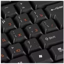 Клавиатура Oklick 100 M Standard Keyboard фото 8