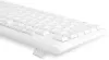 Клавиатура Oklick K225W (белый) фото 8