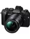 Фотоаппарат Olympus OM-D E-M5 Mark III Kit 14-150mm (черный) фото 2