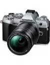 Фотоаппарат Olympus OM-D E-M5 Mark III Kit 14-150mm (серебристый) icon 2