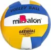Волейбольный мяч Qunxing Toys FG230612013L icon