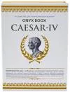 Электронная книга Onyx BOOX Caesar 4 фото 4