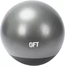 Гимнастический мяч Original FitTools FT-GTTPRO-55 icon