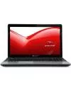 Ноутбук Packard Bell EasyNote TE11HC-10054G75Mnks (NX.C1FEU.005) icon