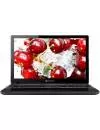 Ноутбук Packard Bell EasyNote TE69CX-21172G50Mnsk (NX.C2SER.004) icon