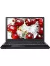 Ноутбук Packard Bell EasyNote TE69CX-21174G50Mnsk (NX.C2VER.001) фото 2