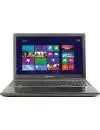 Ноутбук Packard Bell EasyNote TE69KB-65204G1TMnsk (NX.C2CER.024) icon