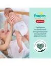 Трусики Pampers Premium Care Pants 4 Maxi (38 шт) фото 3