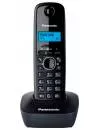 Радиотелефон Panasonic KX-TG1611UAH icon