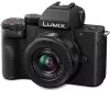Фотоаппарат Panasonic Lumix DC-G100V Kit 12-32mm фото 2