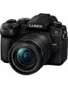 Фотоаппарат Panasonic Lumix DC-G90M Kit 12-60mm f/3.5-5.6 фото 2