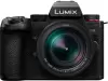 Фотоаппарат Panasonic Lumix G9 II kit 12-60mm f/2.8-4 icon