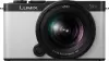 Фотоаппарат Panasonic Lumix S9 Kit 20-60mm (белый) icon
