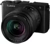 Фотоаппарат Panasonic Lumix S9 Kit 20-60mm (черный) фото 6