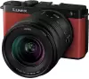 Фотоаппарат Panasonic Lumix S9 Kit 20-60mm (красный) фото 3