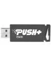 USB Flash Patriot Push+ 256GB (черный) icon