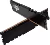 Оперативная память Patriot Signature Premium Line 16ГБ DDR4 2666 МГц PSP416G2666H1 фото 3