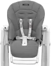 Стульчик для кормления Peg-perego Tatamia (wonder grey) icon 7