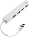 USB-хаб Perfeo 4 Port C-HUB PF-H039 (белый) icon