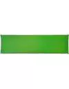 Туристический коврик Pinguin Horn 20 Long green icon