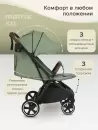 Детская прогулочная коляска Pituso Matrix MRX 20 (Emerald mood) icon 12