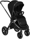 Детская коляска PITUSO Mayla 2 в 1 (Black) icon 4