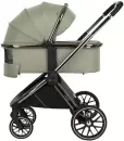 Детская коляска PITUSO Mayla 2 в 1 (Misty Mood) icon