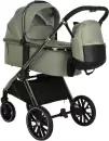 Детская коляска PITUSO Mayla 3 в 1 (Misty Mood) icon