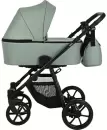 Детская универсальная коляска Pituso Tossa 2 в 1 (кожа, sage) icon