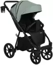 Детская универсальная коляска Pituso Tossa 2 в 1 (кожа, sage) icon 5