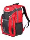 Рюкзак школьный Polar П0088 (красный) icon